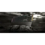 Gallery Thumbnail 6