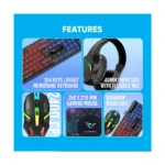Gallery Thumbnail 13