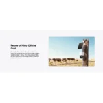 Gallery Thumbnail 10