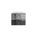 Gallery Thumbnail 5