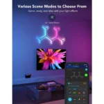 Gallery Thumbnail 8