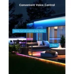Gallery Thumbnail 5