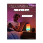 Gallery Thumbnail 5