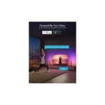 Gallery Thumbnail 3