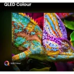 Gallery Thumbnail 6