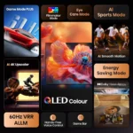 Gallery Thumbnail 1