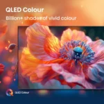 Gallery Thumbnail 6