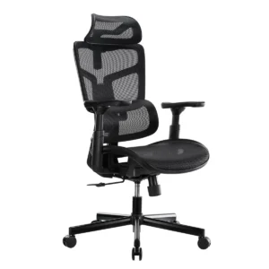 Lumivida Office Chair Ergonomic Mesh Lumbar Support Adjustable Seat/Armrest Black CH10-10