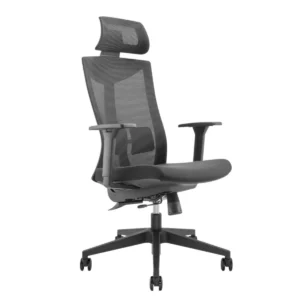 Lumivida Office Chair Ergonomic Mesh Lumbar Support Adjustable Seat/Armrest/Headrest Black CH05-8