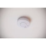 Gallery Thumbnail 2
