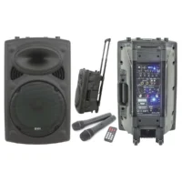 QTX QR12PA 12” Professional Portable Karaoke & PA Speaker with 2x Wireless Microphones, Bluetooth USB & FM 178.847UK