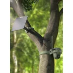 Gallery Thumbnail 1