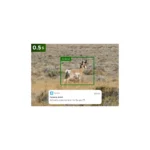 Gallery Thumbnail 2