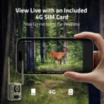 Gallery Thumbnail 2