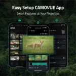 Gallery Thumbnail 7