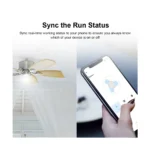 Gallery Thumbnail 8