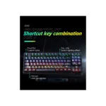 Gallery Thumbnail 2