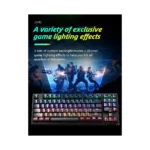 Gallery Thumbnail 8