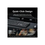 Gallery Thumbnail 17